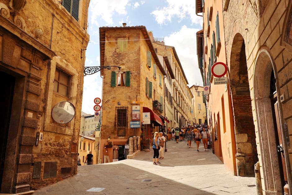 Colline du Palatin (zone d'entrée principale)