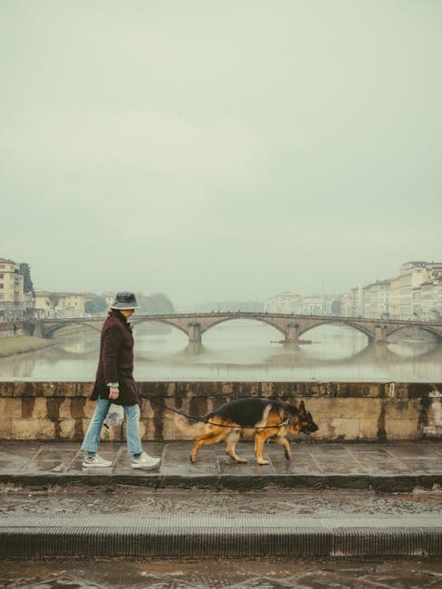 Lungarno Corsini Promenade