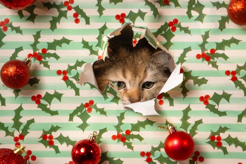 Anfiteatro de Mauerpark