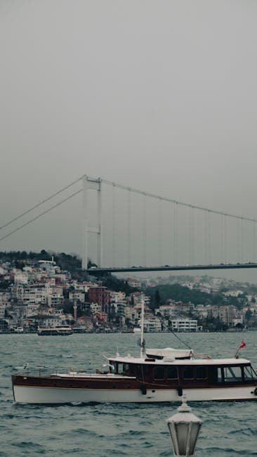 Mahmutpaşa and Mercan Coffeehouses